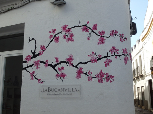 Buganvilla (Eng: Bougainville). Buganvilla (Eng: Bougainville).
